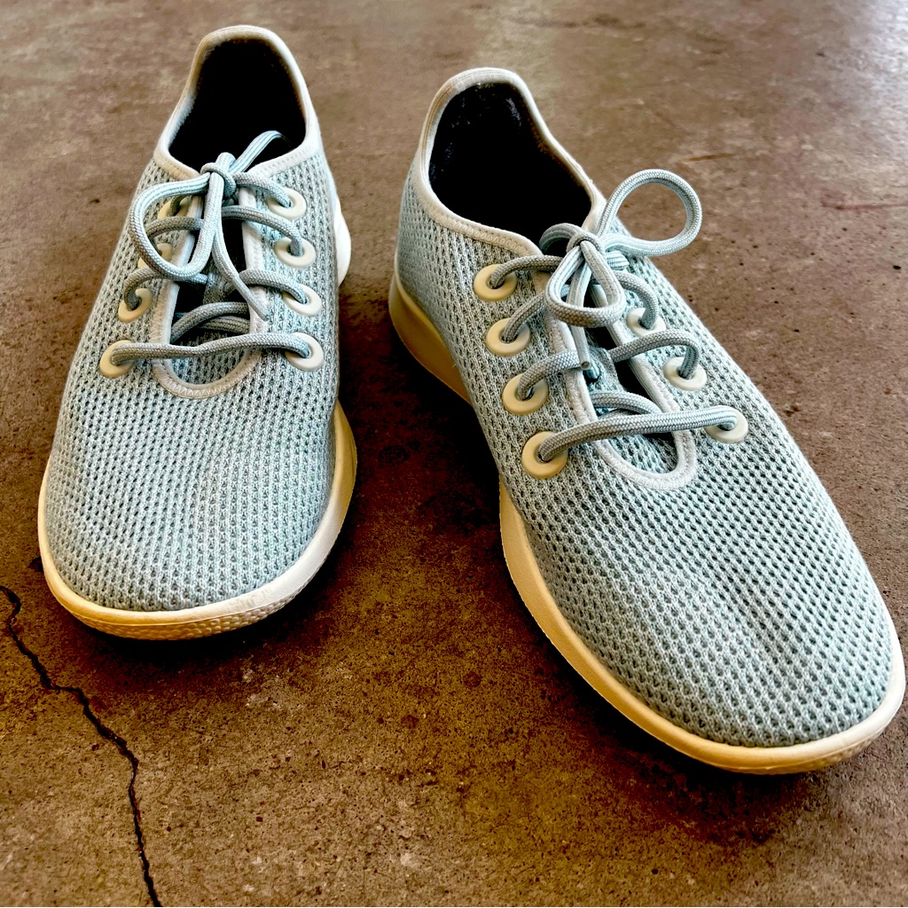 Allbirds Women’s Tree Runners Size 9